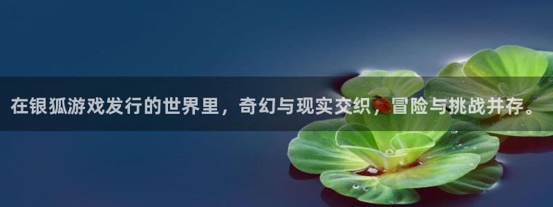 顺盈娱乐龙虎和平台哪个好：在银狐游戏发行的世界里，奇幻与现实交织，冒险与挑战并存。