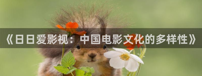 宅男视频新版：《日日爱影视：中国电影文化的多样性》