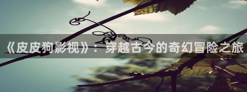 宅男视频首页：《皮皮狗影视》：穿越古今的奇幻冒险之旅