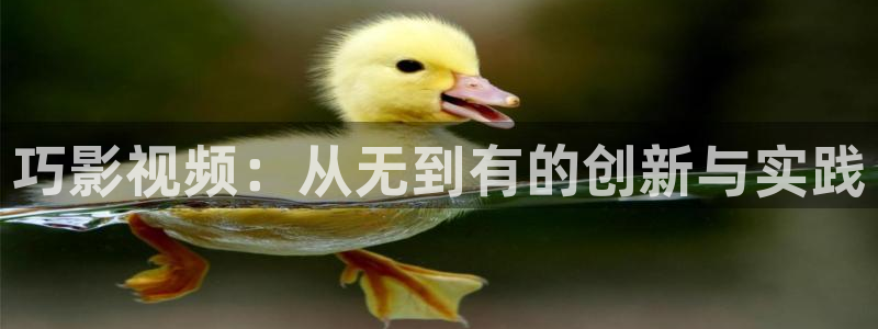 宅男视频在线观看免费：巧影视频：从无到有的创新与实践