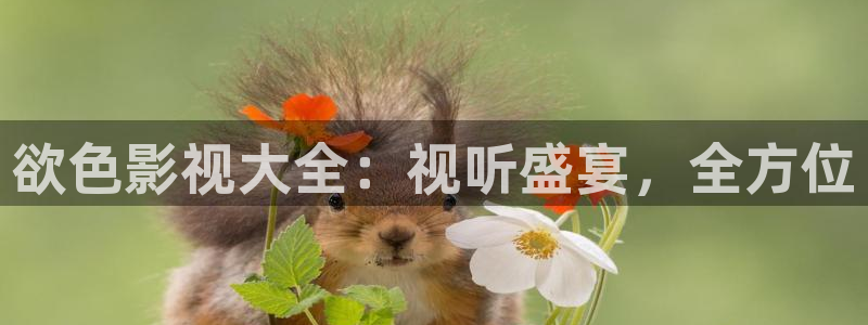 宅男视频应用：欲色影视大全：视听盛宴，全方位