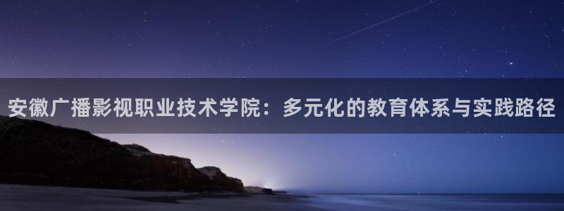 宅男视频wwww：安徽广播影视职业技术学院：多元化的教育体系与实践路径