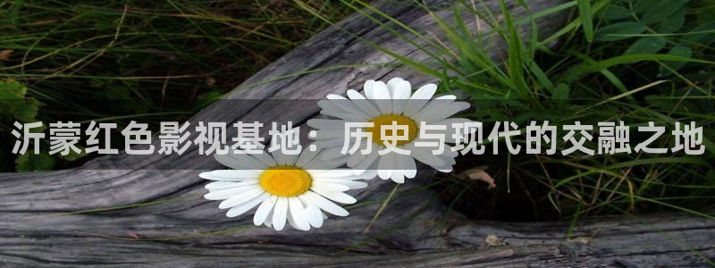 宅男视频在线观看免费视频：沂蒙红色影视基地：历史与现代的交融之地
