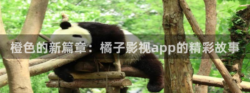 宅男视频网址导航：橙色的新篇章：橘子影视app的精彩故事