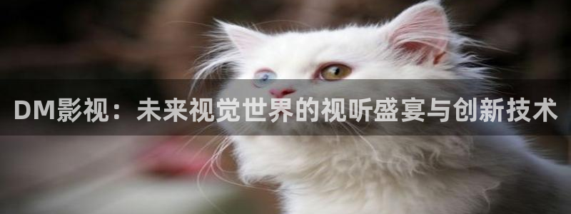 日韩宅男视频：DM影视：未来视觉世界的视听盛宴与创新技术