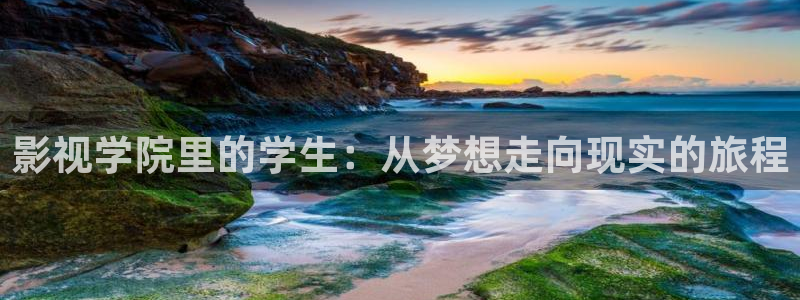 下载宅男视频：影视学院里的学生：从梦想走向现实的旅程
