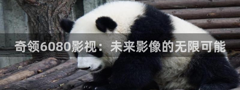 宅男视频k频道：奇领6080影视：未来影像的无限可能