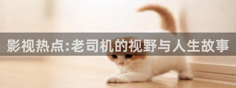 午夜在线宅男视频：影视热点:老司机的视野与人生故事